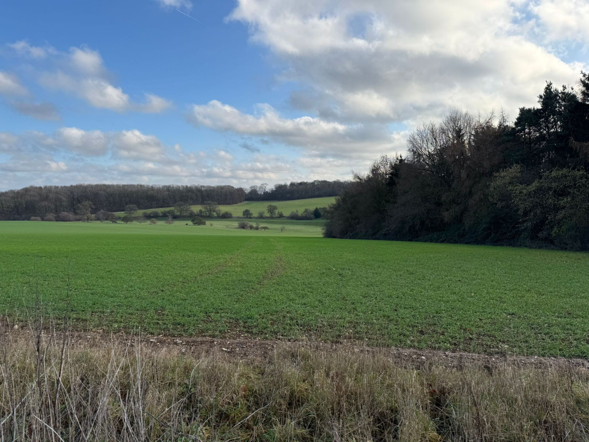 Between Weston and Graveley